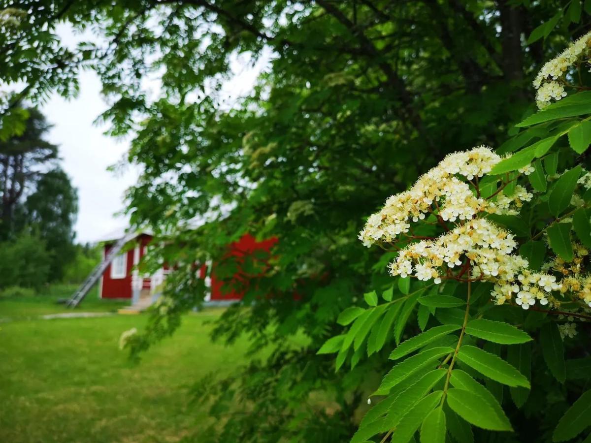 Raate Guest House Суомусалми Екстериор снимка